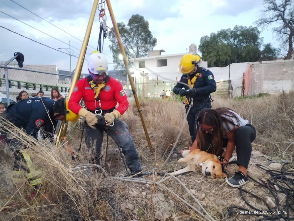 Rescatan Bomberos a perrito tras caer en hoyo profundo, en La Reforma