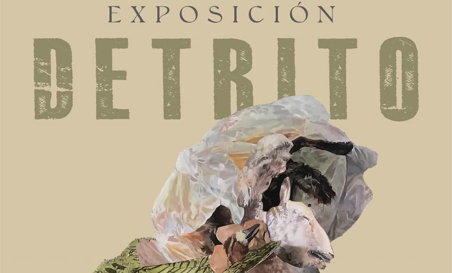 Inaugurarán la exposición “Detrito” en la Galería Leo Acosta