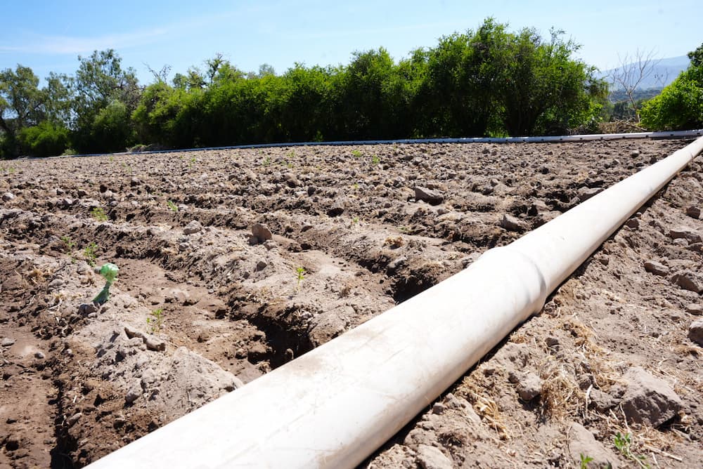 Instalan parcelas modelo para modernizar el riego en Hidalgo