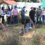 Participaron estudiantes de la UTSH y UPH en la jornada nacional Tequios Por La Paz