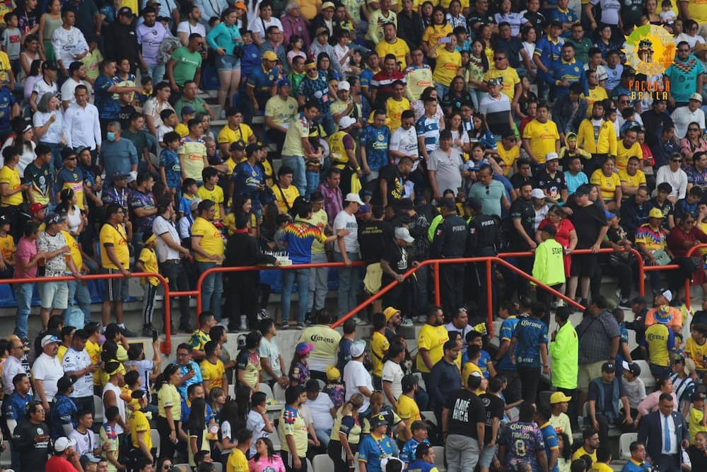 Vigilarán más de 500 elementos el estadio Hidalgo para Tuzos vs América