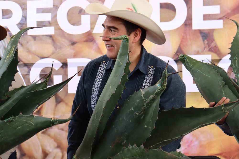 Más de mil 800 productores hidalguenses reciben semillas e hijuelos de maguey