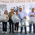 Productores hidalguenses reciben 155 mil crías de peces