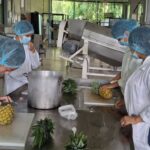 Impulsa UTHH formación práctica en Ingeniería en Alimentos