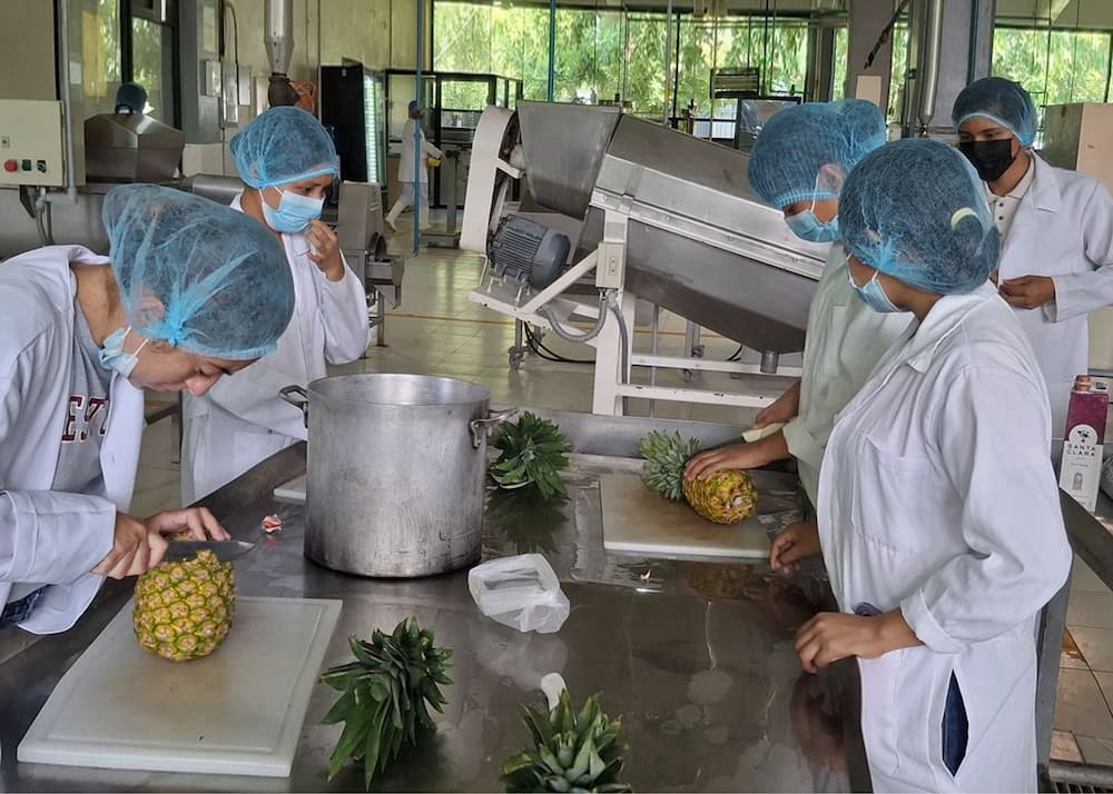 Impulsa UTHH formación práctica en Ingeniería en Alimentos