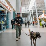 Binomios K9 y Policía Municipal fortalecen la seguridad en plazas comerciales de Pachuca