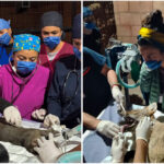 Abren inscripciones para el 2º Curso de Rehabilitación de Fauna Silvestre en Pachuca