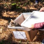Unidad de Rescate Pachuca libera fauna silvestre en Las Navajas