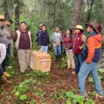 Pachuca lidera liberación de tigrillo y zorras grises en Parque Nacional Los Mármoles
