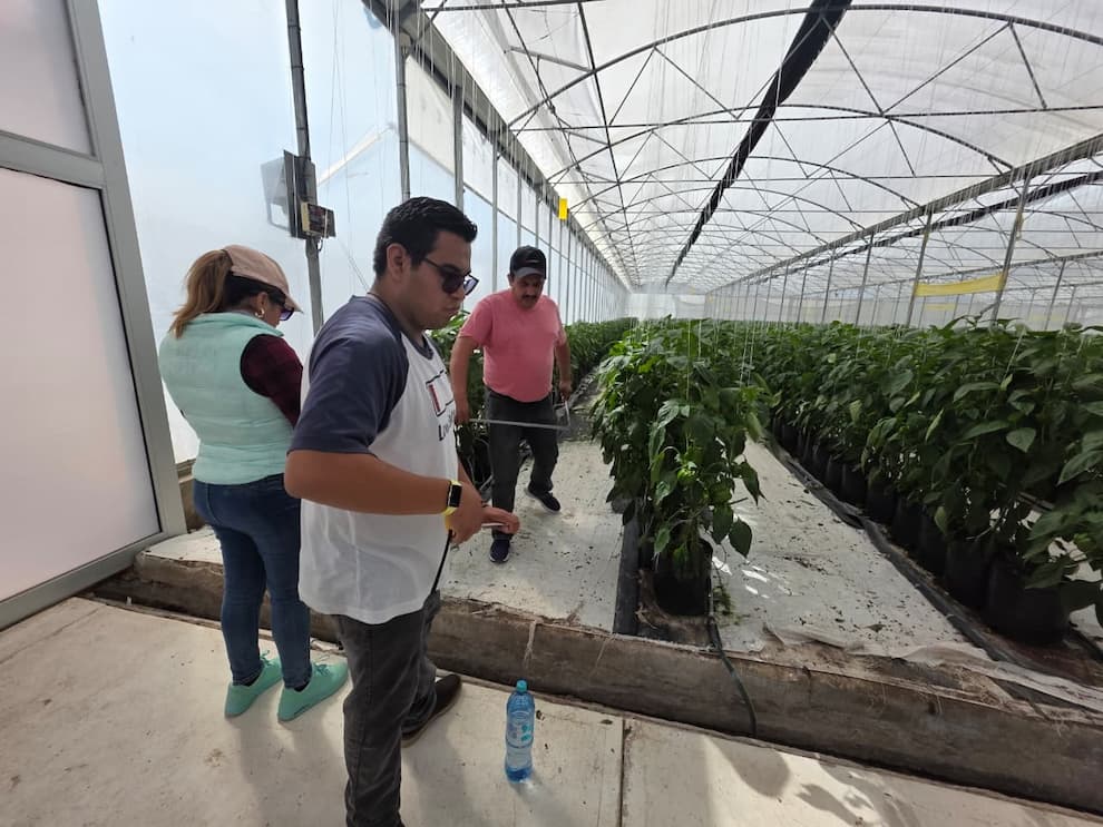 ITESHU impulsa proyectos innovadores de Maestría en Mecatrónica