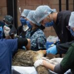 Pachuca fortalece la capacitación especializada con el Segundo Curso de Rehabilitación de Fauna Silvestre