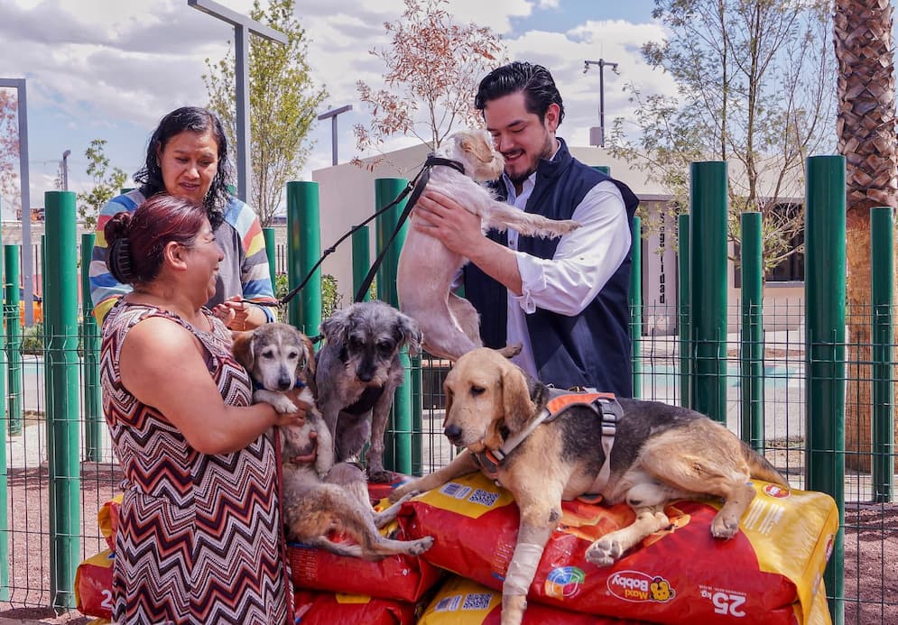 Fundación Nadie se queda atrás dona 250 kilos de alimento para perritos