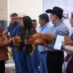 Con entrega de aves de doble propósito gobierno de Hidalgo fortalece la economía de las mujeres rurales
