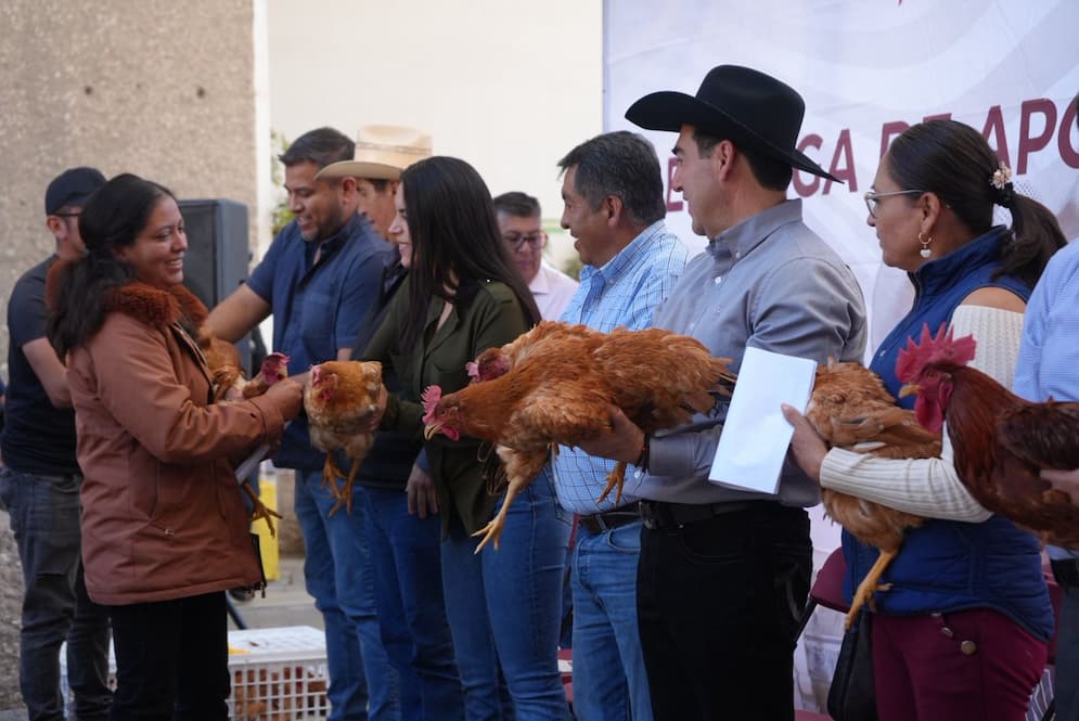 Con entrega de aves de doble propósito gobierno de Hidalgo fortalece la economía de las mujeres rurales