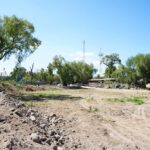 Desarrollan proyecto verde y azul en parque ecohidrológico “El Chamizal”, en Tula
