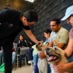 Jorge Reyes impulsa el bienestar animal con más de 9 mil acciones en Pachuca