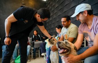 Jorge Reyes impulsa el bienestar animal con más de 9 mil acciones en Pachuca