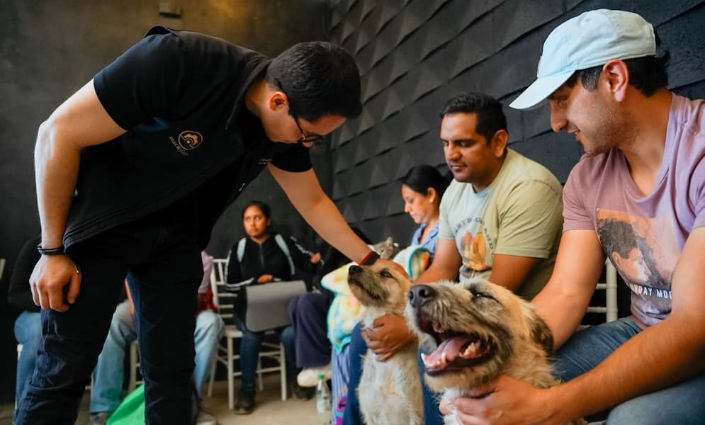 Jorge Reyes impulsa el bienestar animal con más de 9 mil acciones en Pachuca
