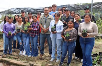 Investigación del ITESHU impulsa conservación del agave en Hidalgo