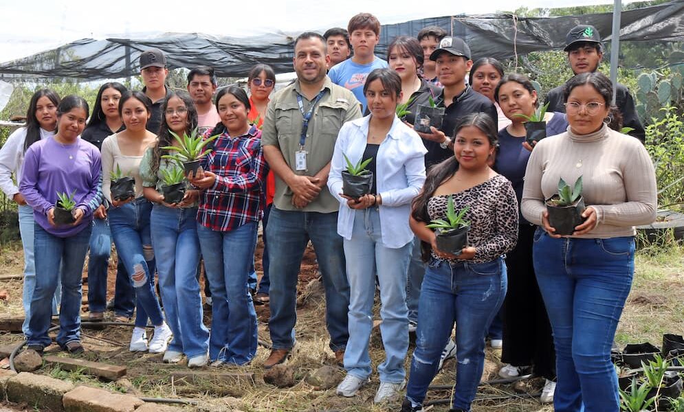 Investigación del ITESHU impulsa conservación del agave en Hidalgo