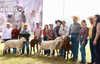 Impulsa Saderh la productividad pecuaria y soberanía alimentaria de 23 municipios