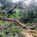 Lluvias dejan estragos en regiones de Hidalgo