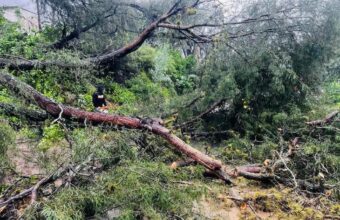 Lluvias dejan estragos en regiones de Hidalgo