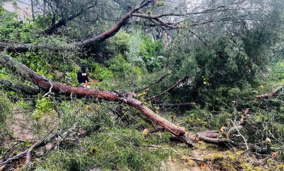 Lluvias dejan estragos en regiones de Hidalgo